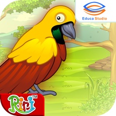 Activities of Cerita Anak: Asal Usul Burung Cendrawasih