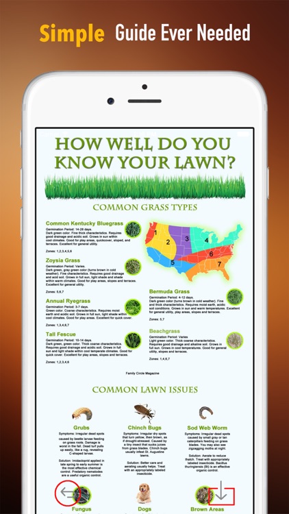 Home Gardening and Yard Landscaping 101: DIY Tips with Video Guide