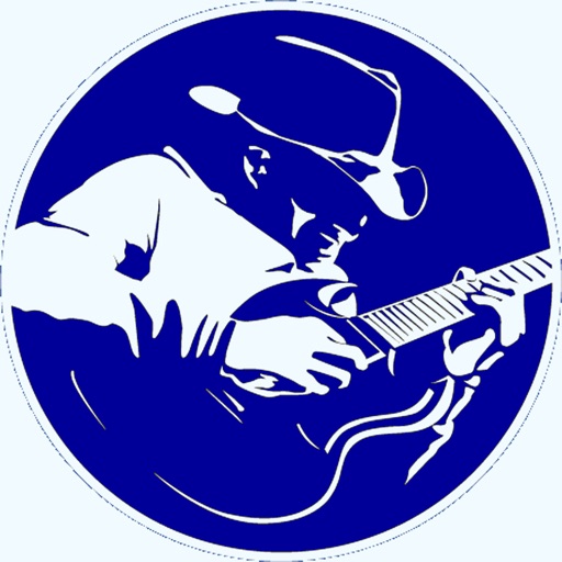 Blues Radios Professional icon