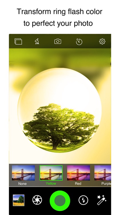 Fisheye Plus Free - Lomo Fisheye Camera with Crystal ball Lens and Color Flashlight screenshot-3