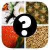 Close Up Food Quiz Game