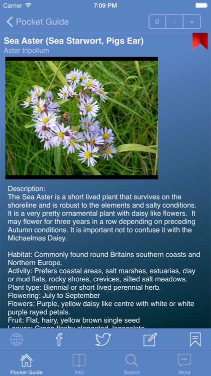 Pocket Guide UK Seashore