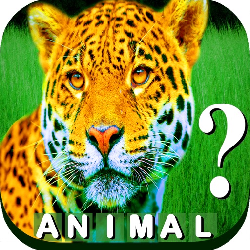 `A Animal Quiz! Wildlife Test` - Guess Farm,Wild,Savannah,safari & ocean Animals Pics (New Fun foto Quizzes) Icon