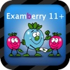 11+ Verbal Reasoning - Examberry