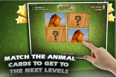 Animals Match Card Game screenshot 3