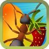 Smash Ants - Fun Counting Game For Kids