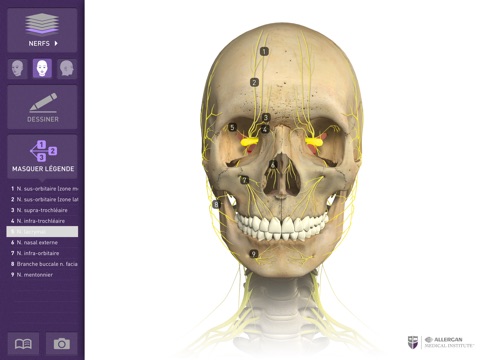 APPLICATION D’ANATOMIE FACIALE screenshot 4