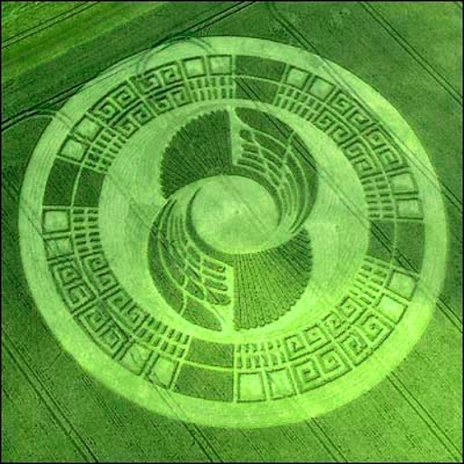 UFO Crop Signs Advisor icon