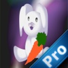 Exodus Rabbit Pro