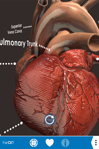 Heart AR screenshot 3