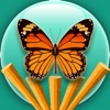 Jungle Escape - Through The Jungle Butterflies Free