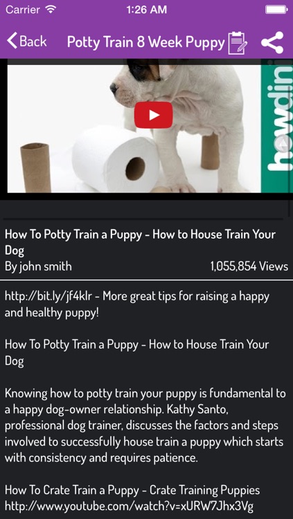 Potty Training For Dogs