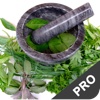 Herbs - Learn How To Grow Herbs, Herbal Remedies, Ailments & More! Pro Edition