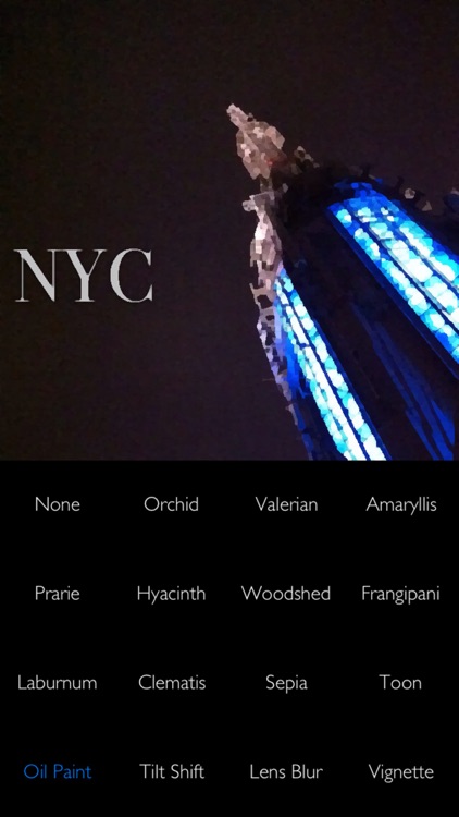 Fontpress: Write Beautiful PhotoText Over Your Pictures with Image Filters and Fonts screenshot-4