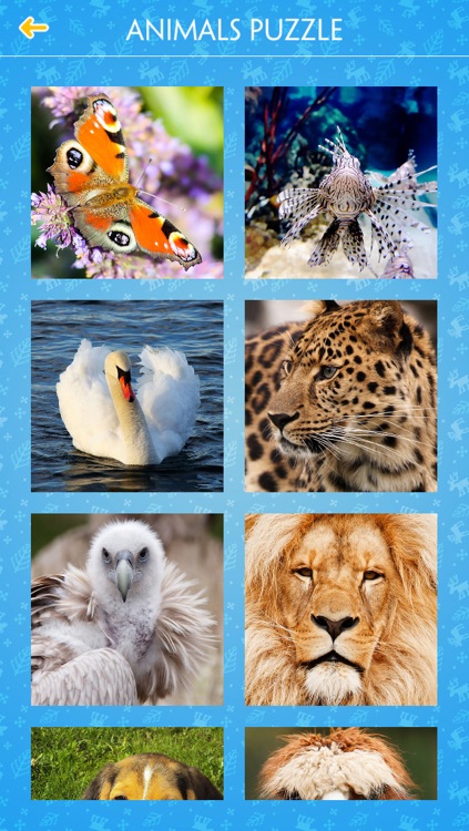 Jigsaw Puzzle - Animals screenshot-4