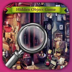 Activities of Hidden Obj Games