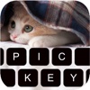 PicKey Keyboard for iOS 8