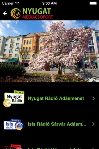 Nyugat Médiacsoport screenshot 3