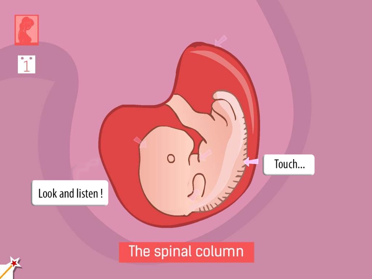 9 months ! A multimedia documentary for children to learn how a baby grows in its mother’s tummy.