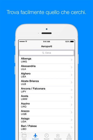 Italy AIP and NOTAMs screenshot 2