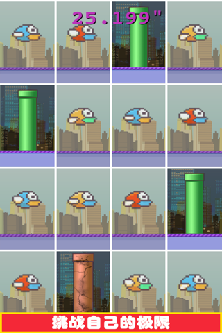 Don't Tap The Birds screenshot 4