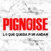 Pignoise - App oficial