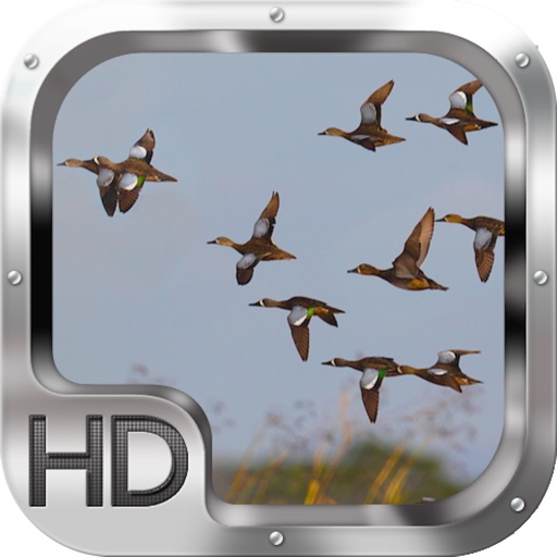 Duck Hunter 2015 iOS App