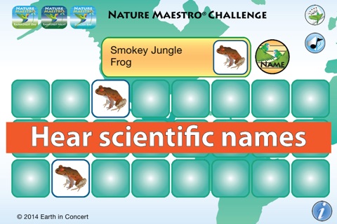 Nature Maestro Challenge screenshot 4