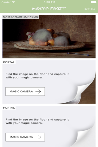 Moderna Museet Förvandlingar screenshot 2