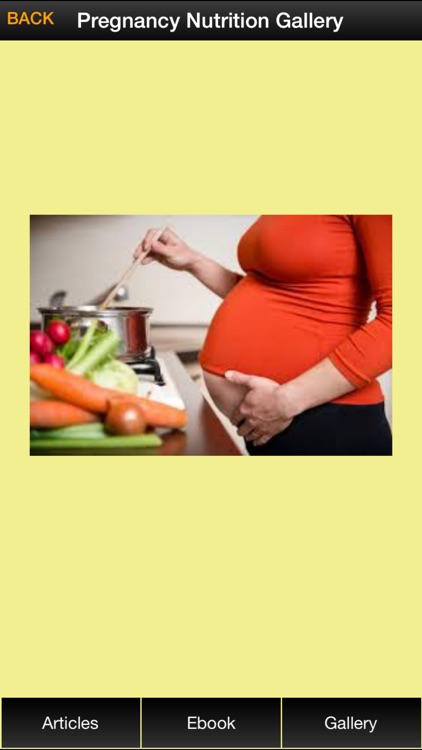 Pregnancy Nutrition Guide - Have a Fit With Nutrition During Pregnancy !