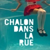 Festival Chalon dans la Rue 2014