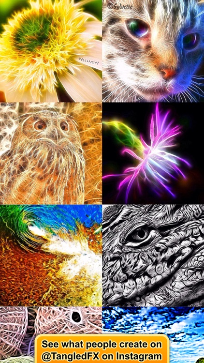 Tangled FX