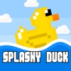 The Splashy Duck