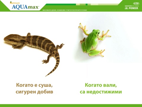 DuPont Pioneer Optimum® AQUAmax® продуктова информация screenshot 3