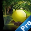 Circle Golden Pro : Jumping Magical Fast
