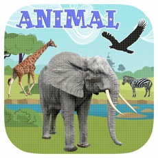 Activities of Animal Games For Kids