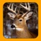 Deer Hunt: Extreme Hunting 2015