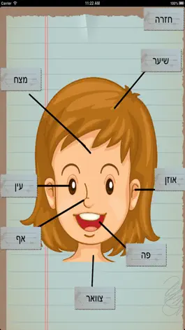 Game screenshot My Body english spanish hebrew apk