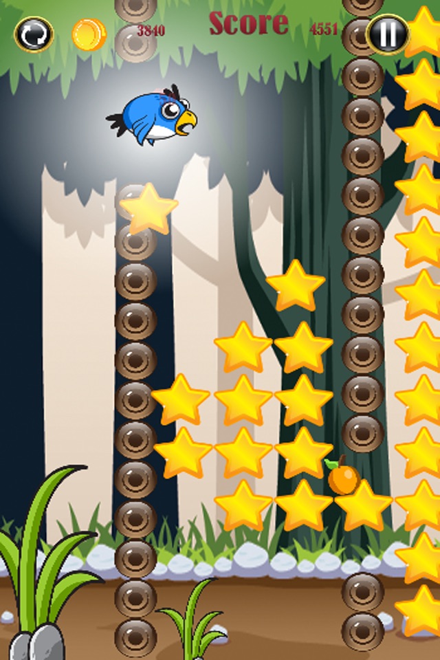 kooki hungry bird screenshot 2