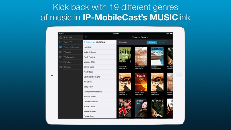 IP-MobileCast screenshot-3