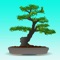 Highlight Feature of Bonsai Tree Guide: