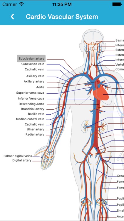 Anatomy Guide (Pocket Book) screenshot-3