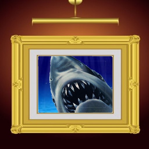Attack Shark iOS App