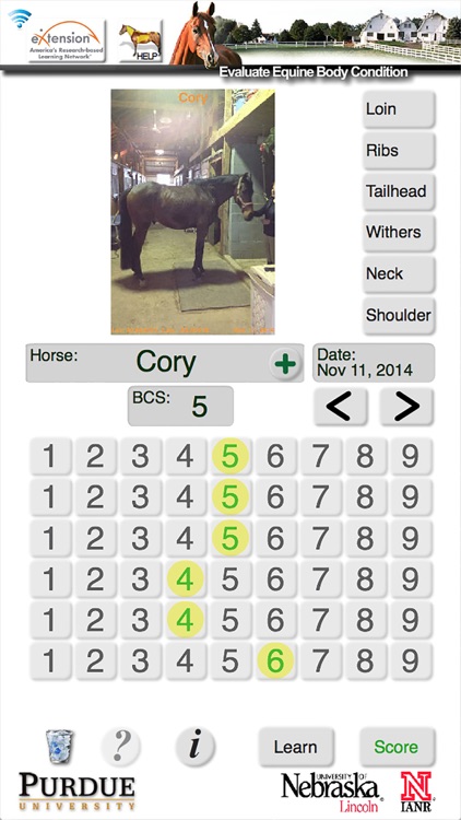 HorseBCS screenshot-3