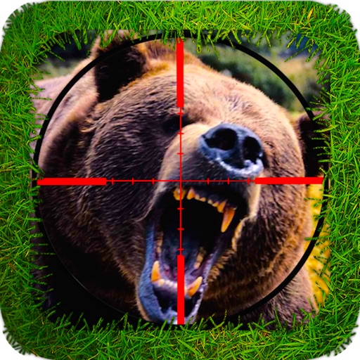 Bear Hunter Pro icon