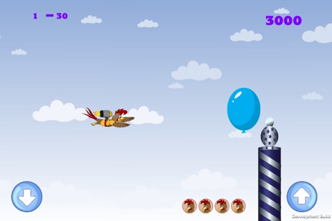 Flying Rocky screenshot 3