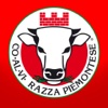 Coalvi Razza Piemontese