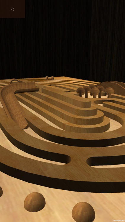 Maze Hole pro screenshot-4