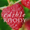 Edible Rhody Edible Rhody