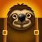 Timber Sloth